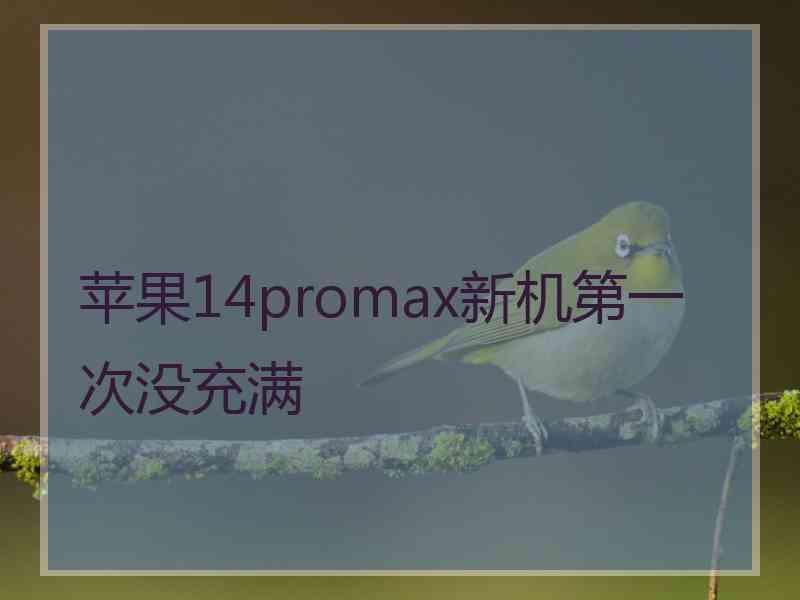 苹果14promax新机第一次没充满