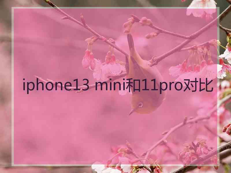 iphone13 mini和11pro对比