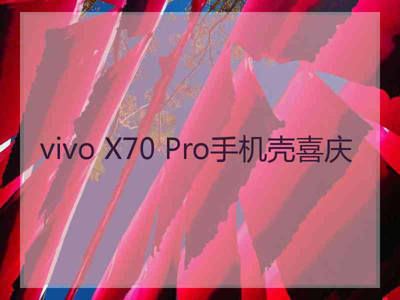 vivo X70 Pro手机壳喜庆