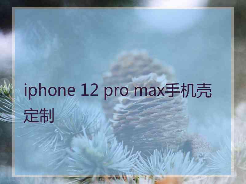 iphone 12 pro max手机壳定制