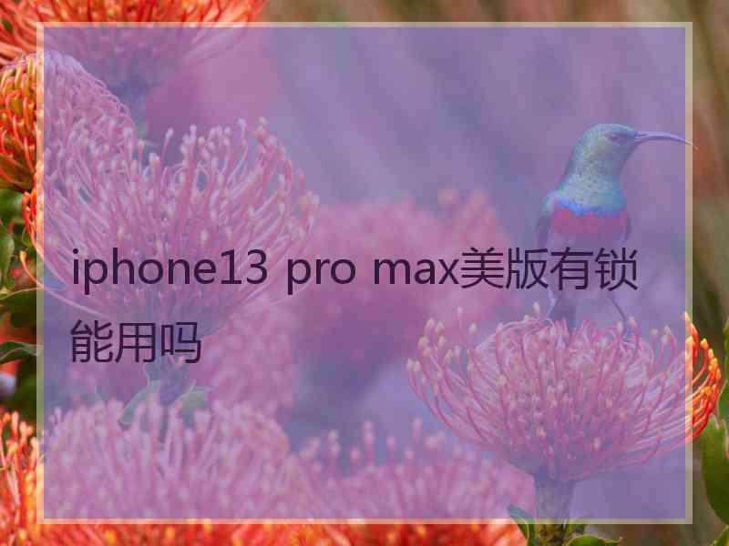 iphone13 pro max美版有锁能用吗