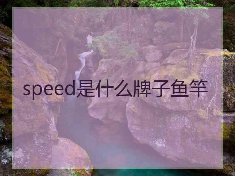 speed是什么牌子鱼竿