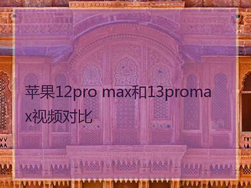 苹果12pro max和13promax视频对比