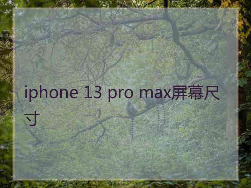 iphone 13 pro max屏幕尺寸