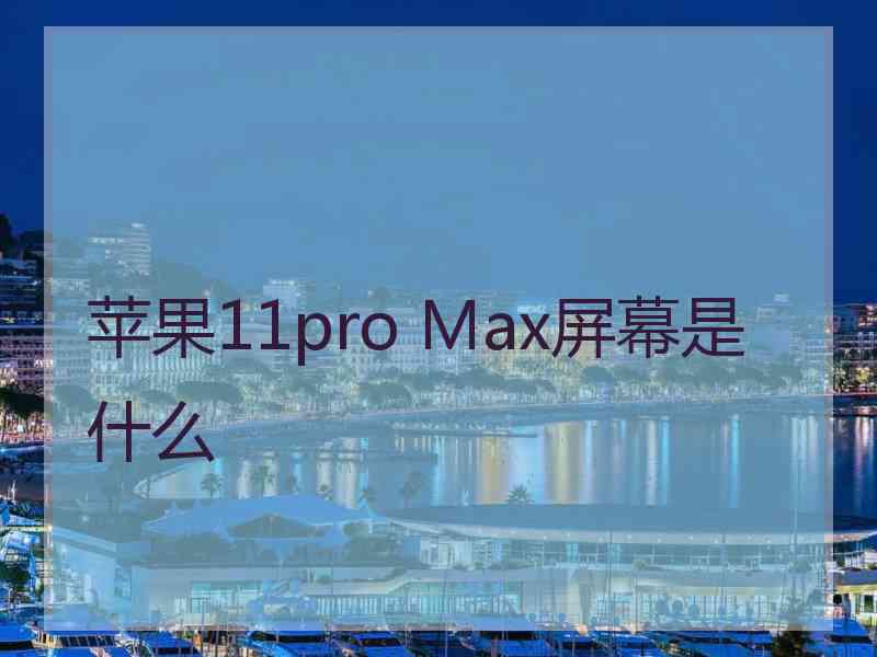 苹果11pro Max屏幕是什么