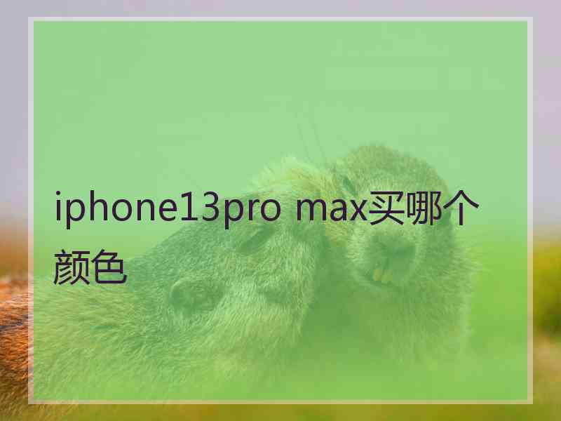 iphone13pro max买哪个颜色