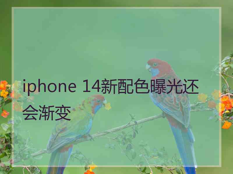 iphone 14新配色曝光还会渐变