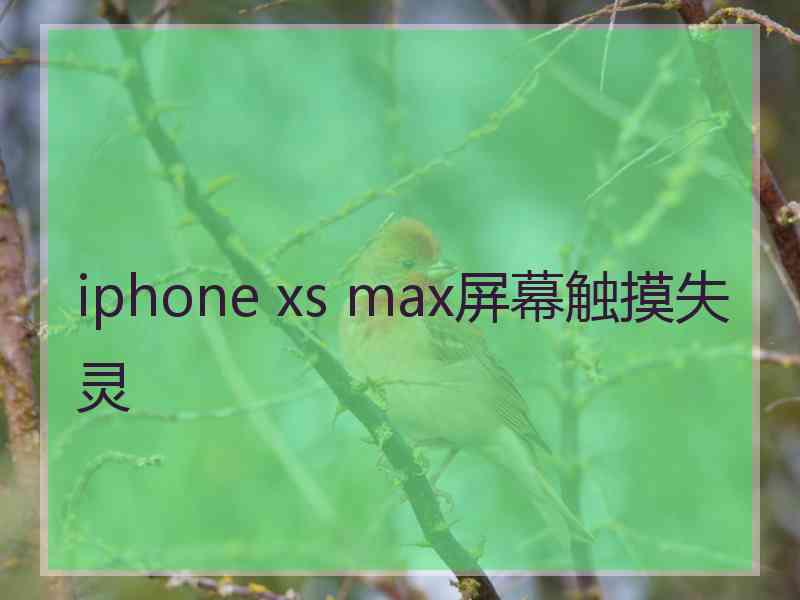 iphone xs max屏幕触摸失灵