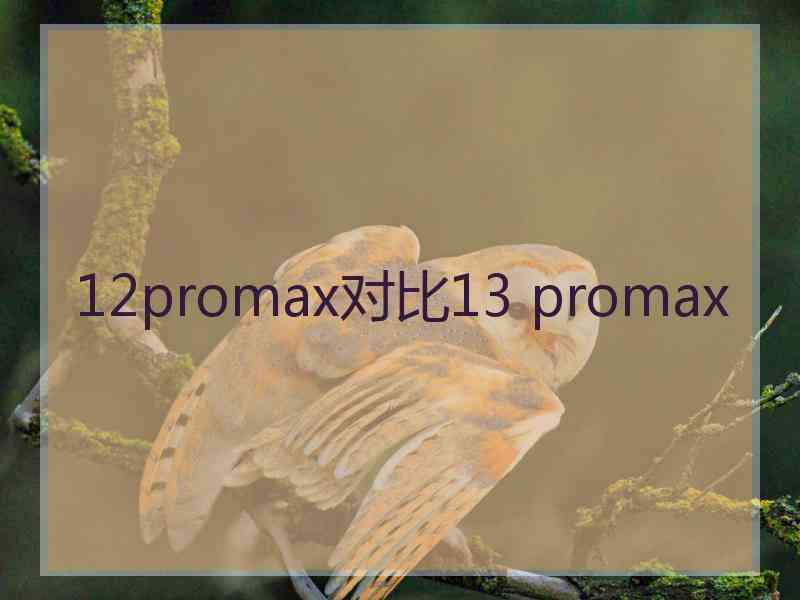 12promax对比13 promax