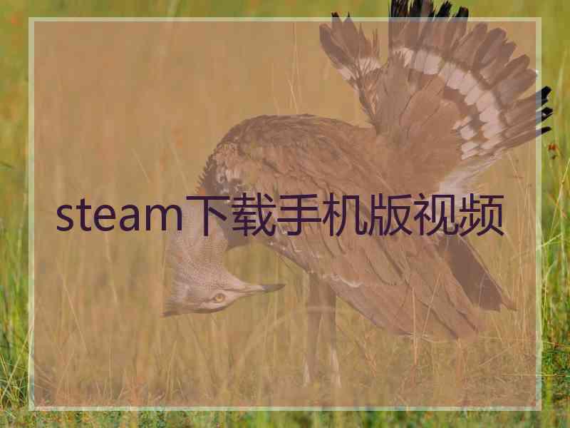 steam下载手机版视频