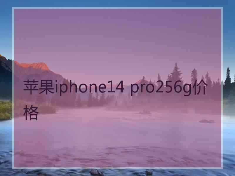 苹果iphone14 pro256g价格