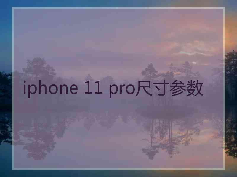 iphone 11 pro尺寸参数