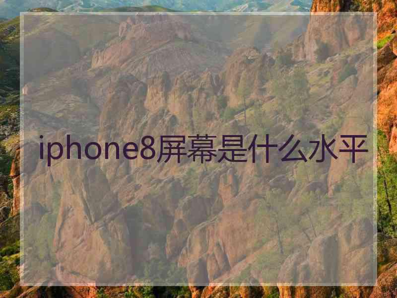 iphone8屏幕是什么水平