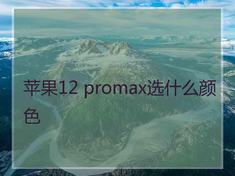 苹果12 promax选什么颜色