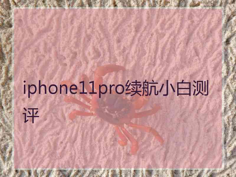 iphone11pro续航小白测评