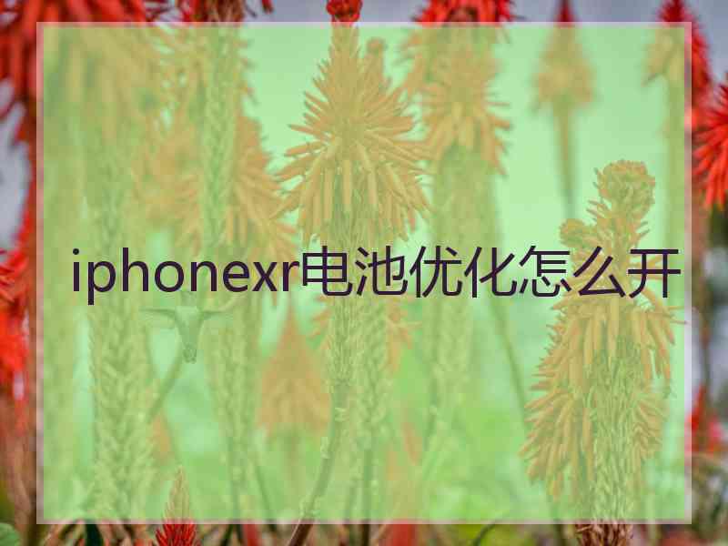 iphonexr电池优化怎么开