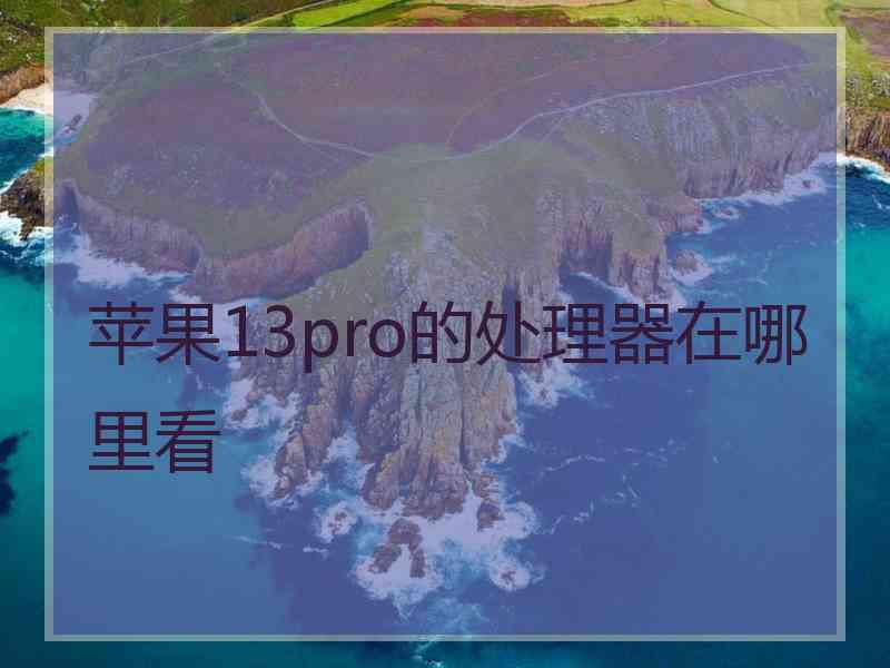 苹果13pro的处理器在哪里看