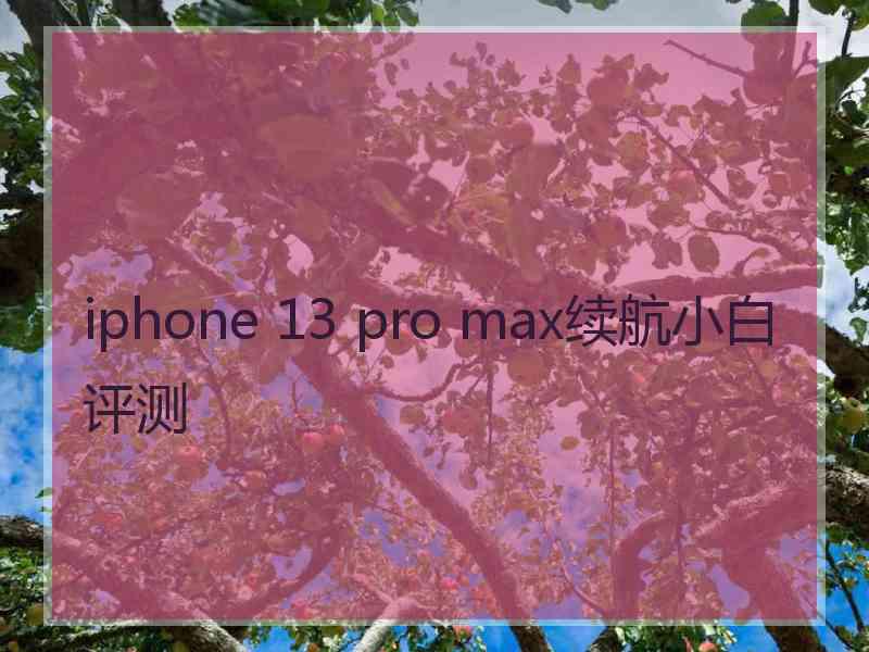 iphone 13 pro max续航小白评测