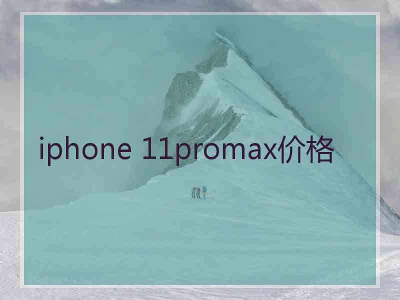 iphone 11promax价格