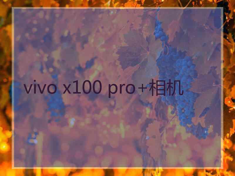 vivo x100 pro+相机