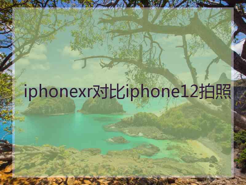 iphonexr对比iphone12拍照