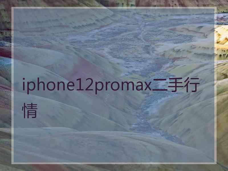 iphone12promax二手行情