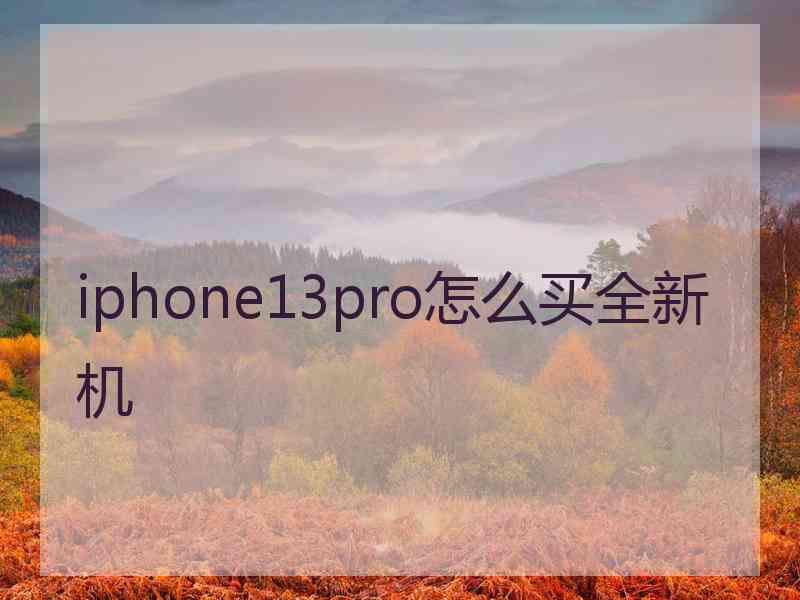 iphone13pro怎么买全新机