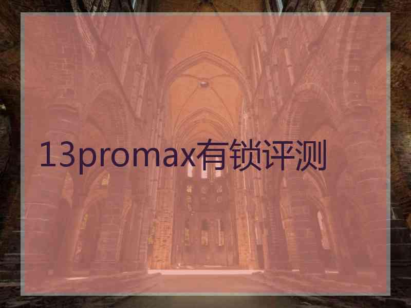 13promax有锁评测