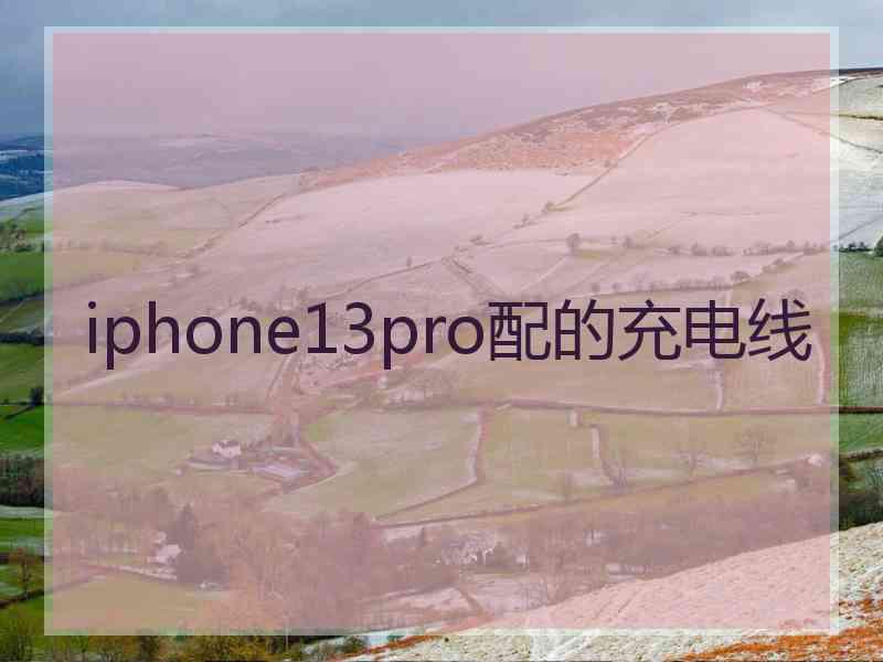 iphone13pro配的充电线