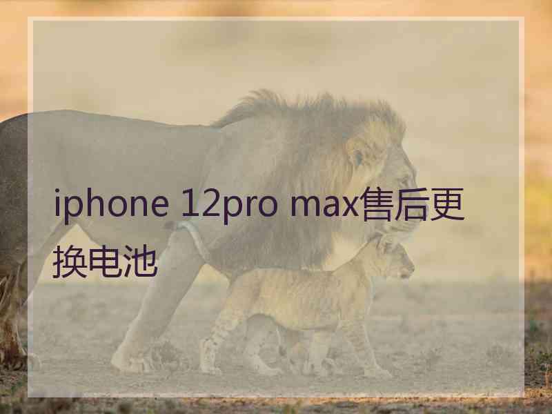 iphone 12pro max售后更换电池