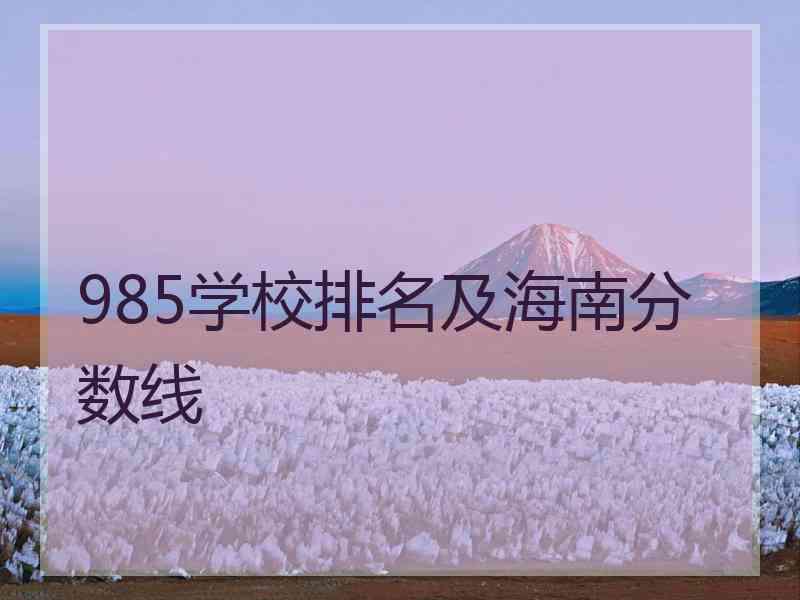 985学校排名及海南分数线