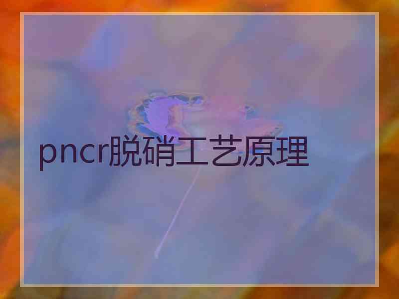 pncr脱硝工艺原理