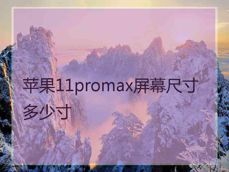 苹果11promax屏幕尺寸多少寸