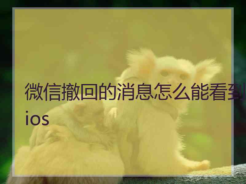 微信撤回的消息怎么能看到ios