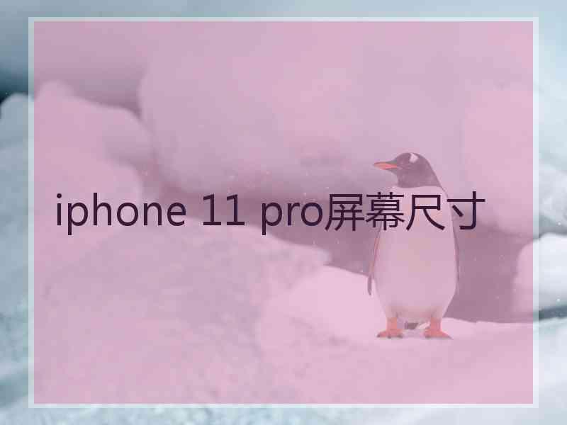 iphone 11 pro屏幕尺寸