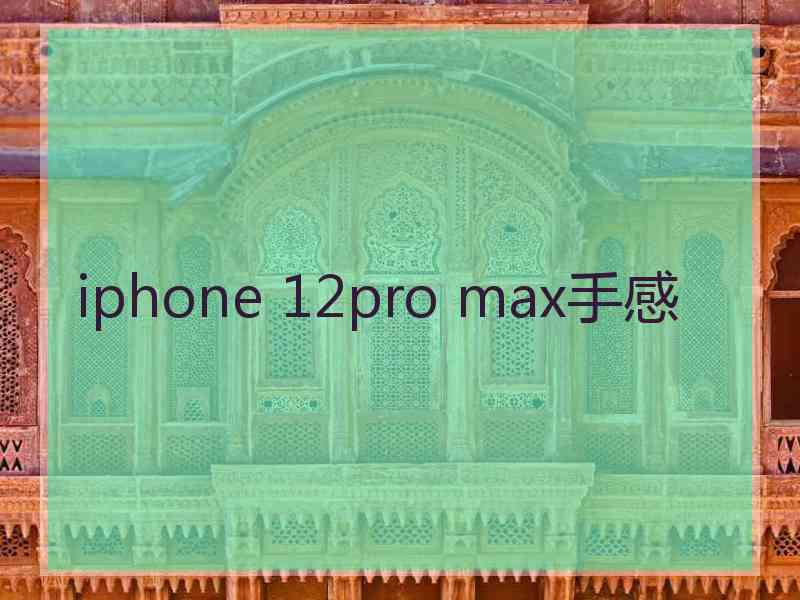 iphone 12pro max手感