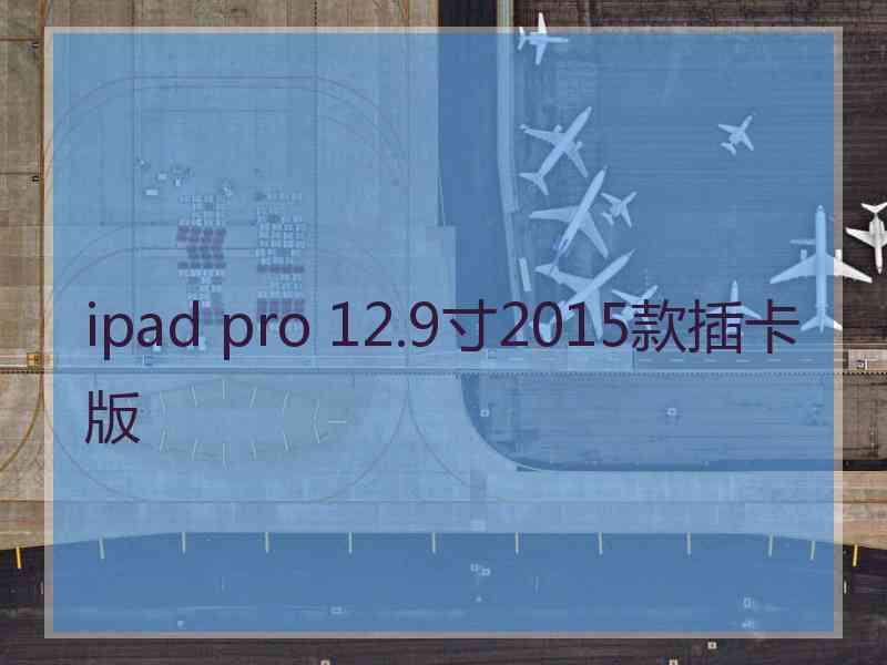 ipad pro 12.9寸2015款插卡版