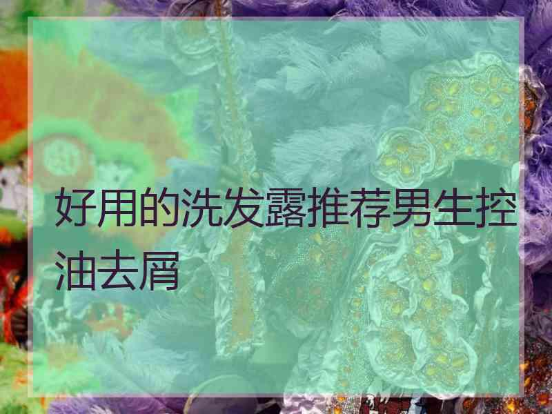 好用的洗发露推荐男生控油去屑