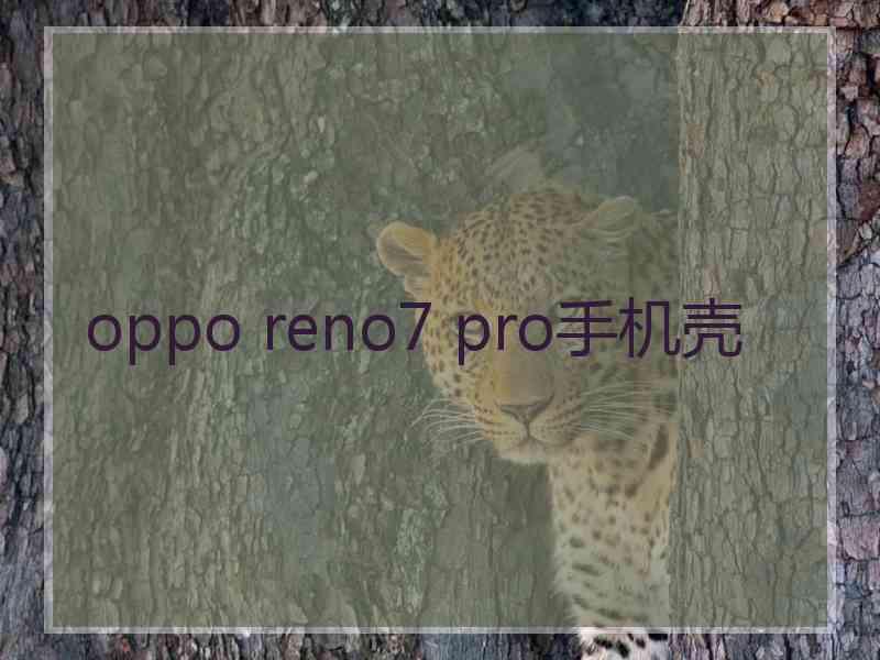 oppo reno7 pro手机壳