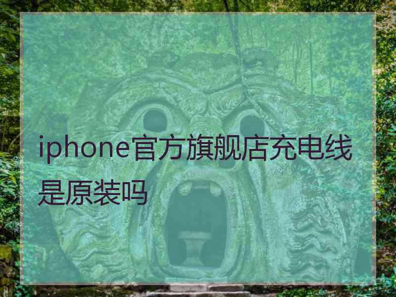 iphone官方旗舰店充电线是原装吗