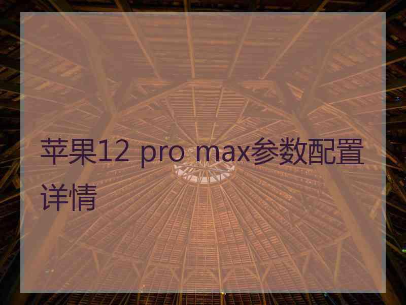 苹果12 pro max参数配置详情