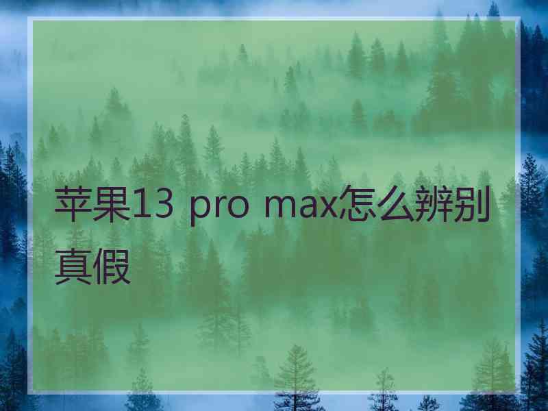 苹果13 pro max怎么辨别真假