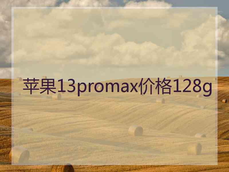 苹果13promax价格128g