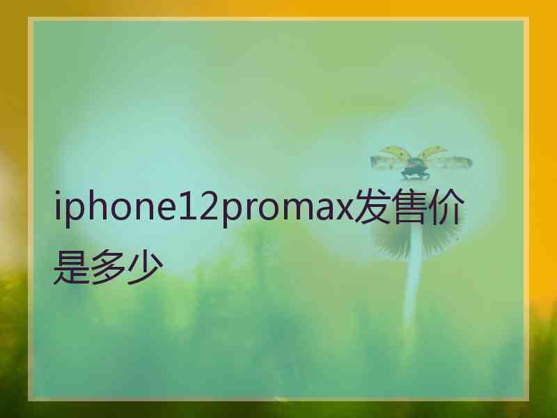 iphone12promax发售价是多少