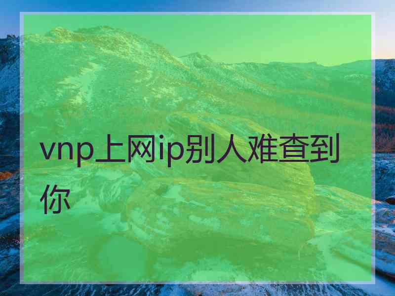 vnp上网ip别人难查到你