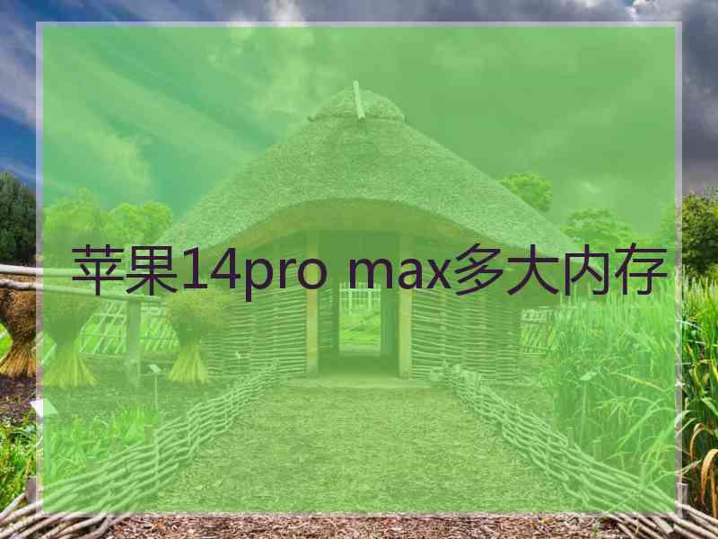 苹果14pro max多大内存