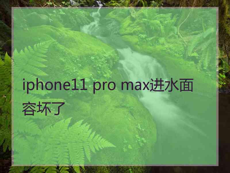 iphone11 pro max进水面容坏了