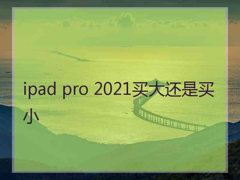 ipad pro 2021买大还是买小