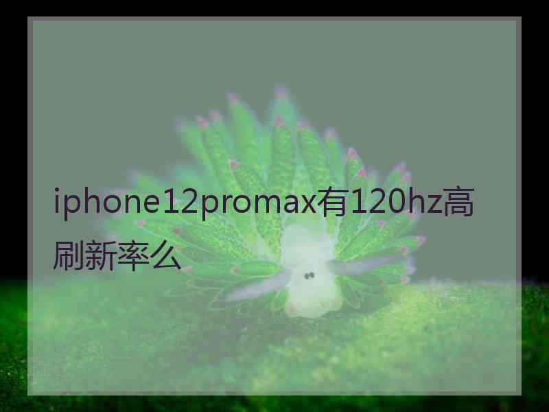 iphone12promax有120hz高刷新率么