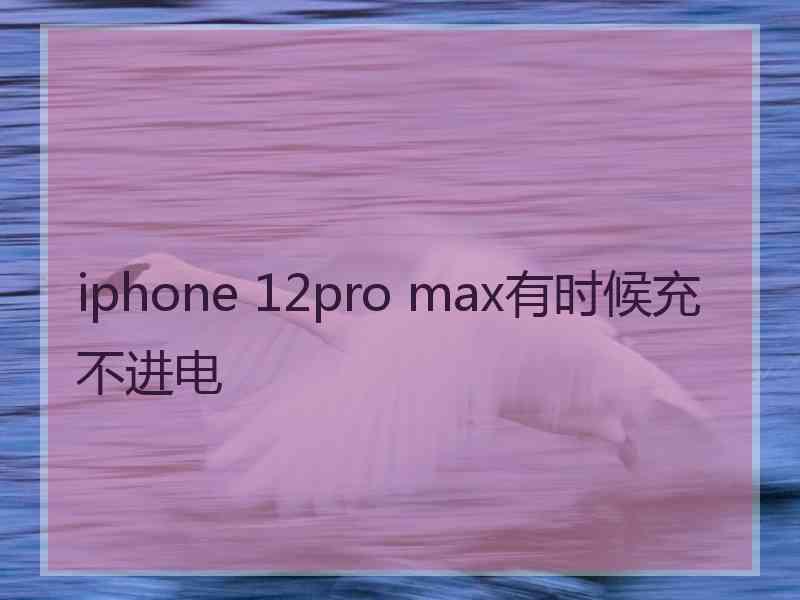 iphone 12pro max有时候充不进电